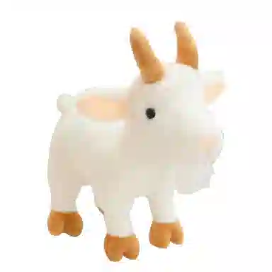 20cm