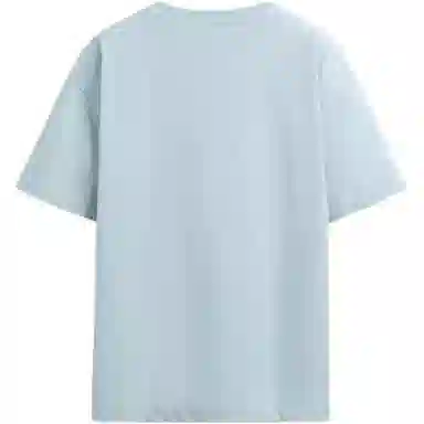 ZARA T