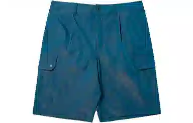 Dickies