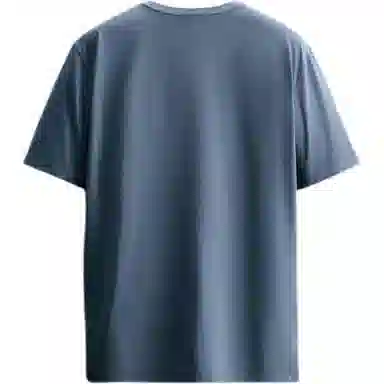 ZARA T