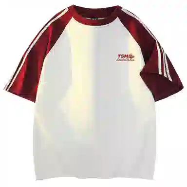 TSMLXLT 240G logoT