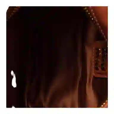 Miu Miu Arcadie Rust