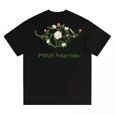 PWUE T