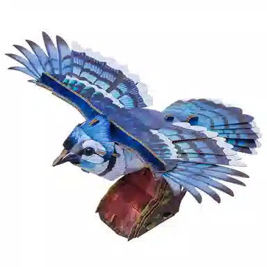 0-300pcs BWWC-2506-0001