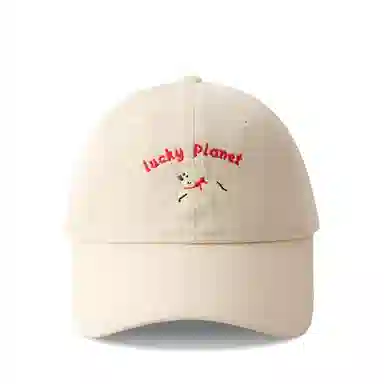 PLAN IN