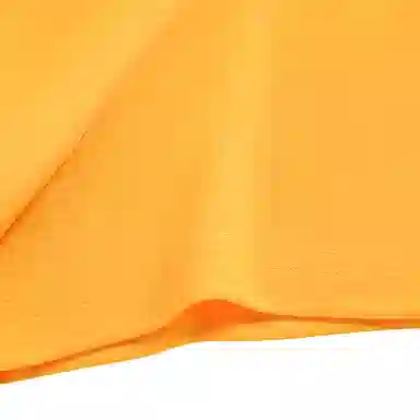 BMAI T