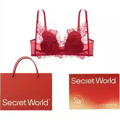 SecretWorld