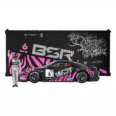 164911 GT3-Carrera Cup-