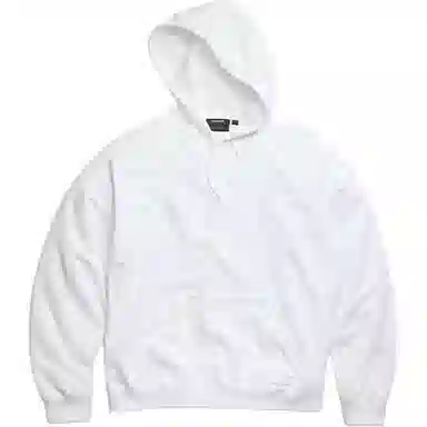 Canada Goose SS25 Snow Goose logo