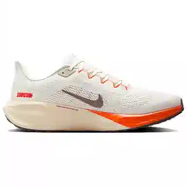 Nike Air Zoom Pegasus 41