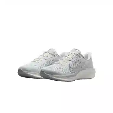 Nike Quest 6 White Grey