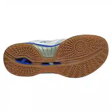 匹克 舒适时尚 防滑耐磨透气 低帮 羽毛球鞋 男女同款