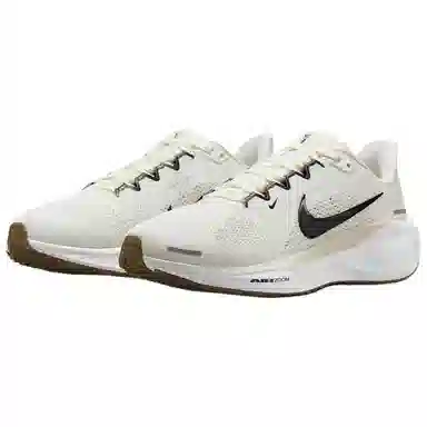 Nike Pegasus 41