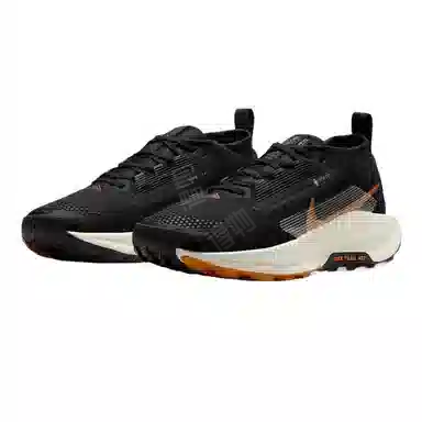 Nike Pegasus Trail 5 GORE-TEX