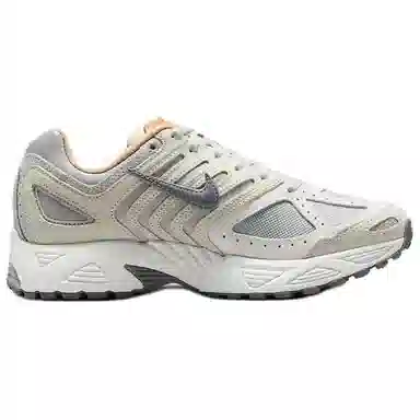 Nike Air Pegasus 2005