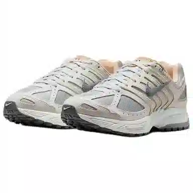 Nike Air Pegasus 2005