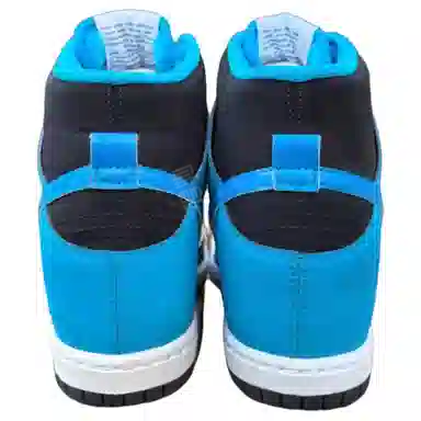 Nike DUNK SKY HI ESSENTIAL