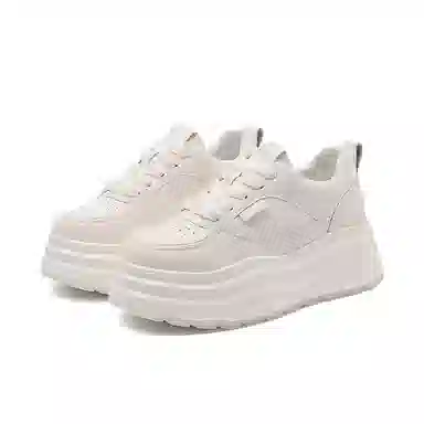 AQUASCUTUM