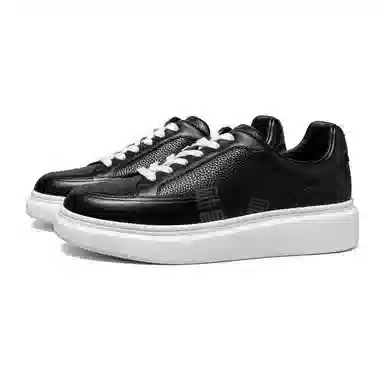 THOM WILLS trainer