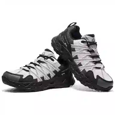 CAMEL Panda Collaboration