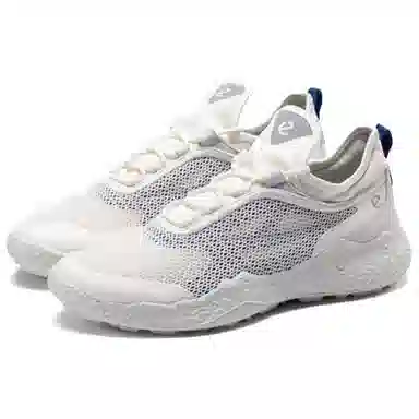 ecco GOLF BIOM H5