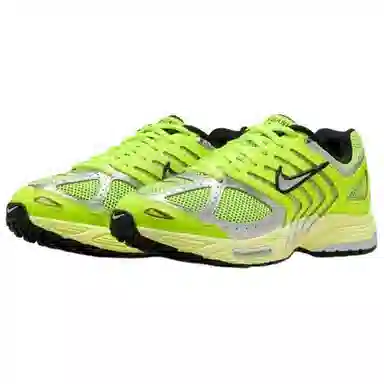 Nike Air Pegasus 2005
