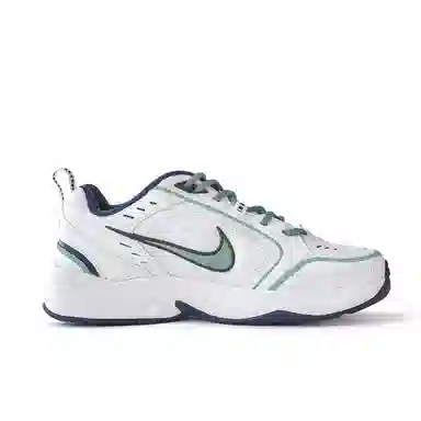 Nike Air Monarch 4