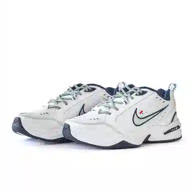 Nike Air Monarch 4 White Green