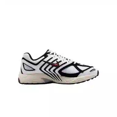 Nike Air Pegasus 2005