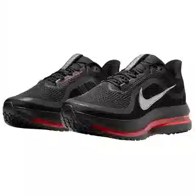 Nike Pegasus Premium