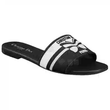 DIOR Dway