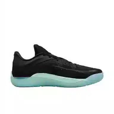 Jordan Zion 4