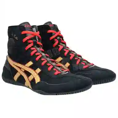 Asics Evo 3 Black Gold