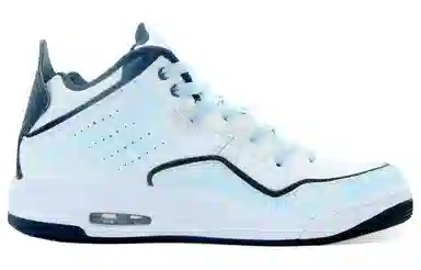 Jordan Air Jordan 3