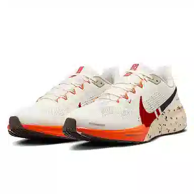 Nike Air Zoom Pegasus 40