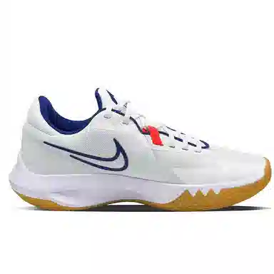 Nike Precision 6