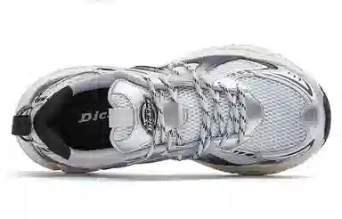 Dickies Retro Low Silver