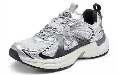 Dickies Retro Low Silver