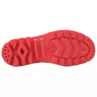 Palladium Pampa Protest