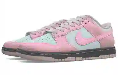 Nike Dunk LOW SE TCO ins
