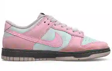 Nike Dunk LOW SE TCO ins