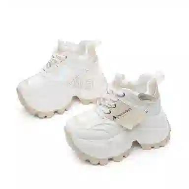 AQUASCUTUM