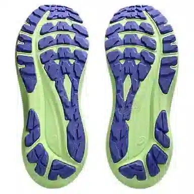 Asics GT-2000 13 TR