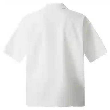 songlan VPolo