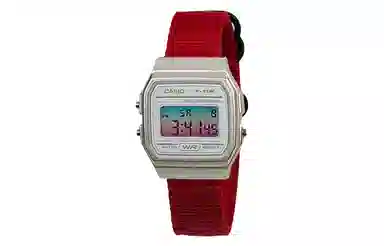 CASIO F-91WS-7