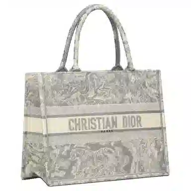 DIOR BookTote Tote