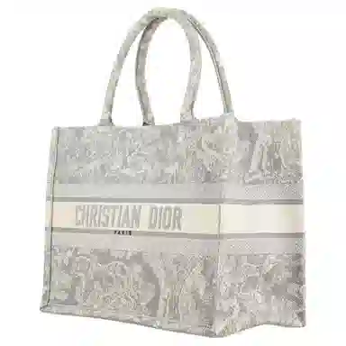 DIOR BookTote Tote