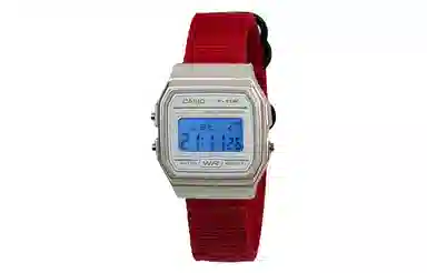 CASIO F-91WS-7