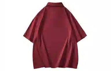 NCAA logopolo