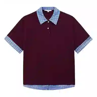 PAINT STAIN polo T